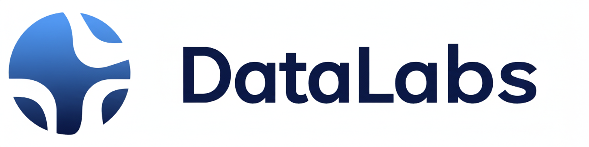 DataLabs Infotech Logo